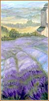 Oregon Lavender Festival